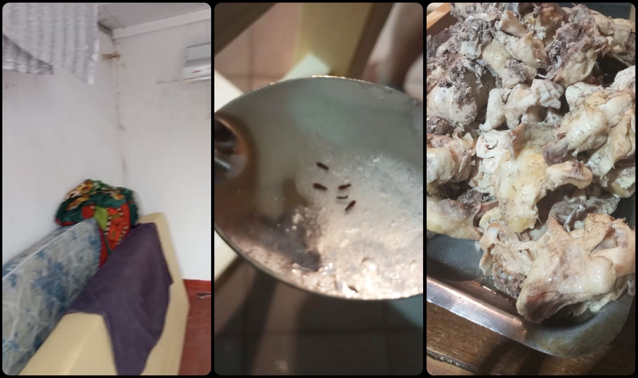 阿根廷足球造梦工厂：青训体系背后的残酷真相
